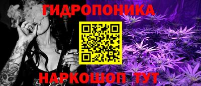 apvp Балашиха